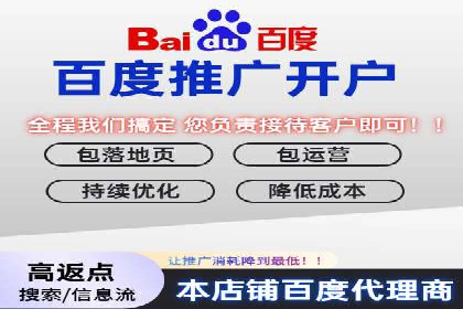 百度竞价排名服务的广告投放技巧与策略